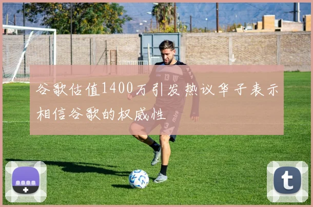 谷歌估值1400万引发热议华子表示相信谷歌的权威性